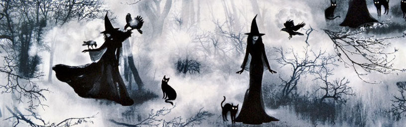 Witch Fabric