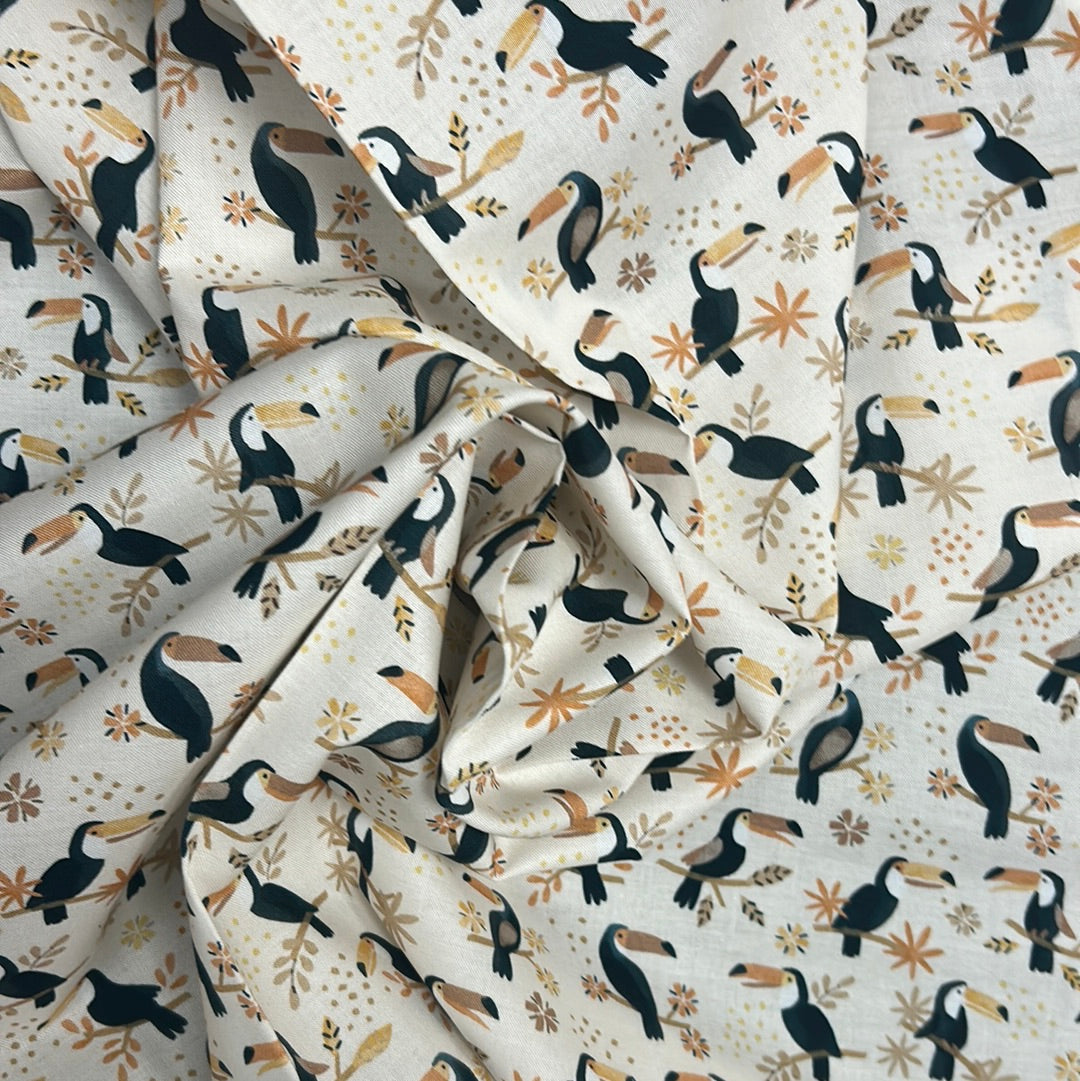 Toucans Dew, Dear Stella