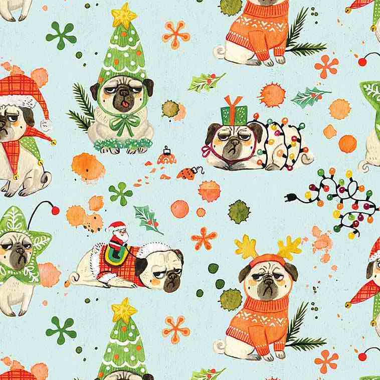 Bah Hum-Pug Multi, Dear Stella