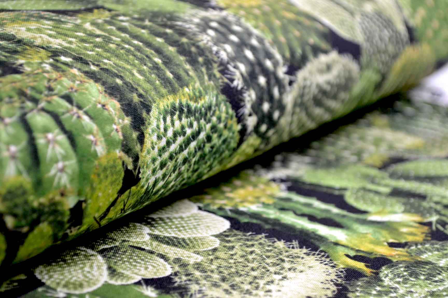 Cacti Green, Timeless Treasures