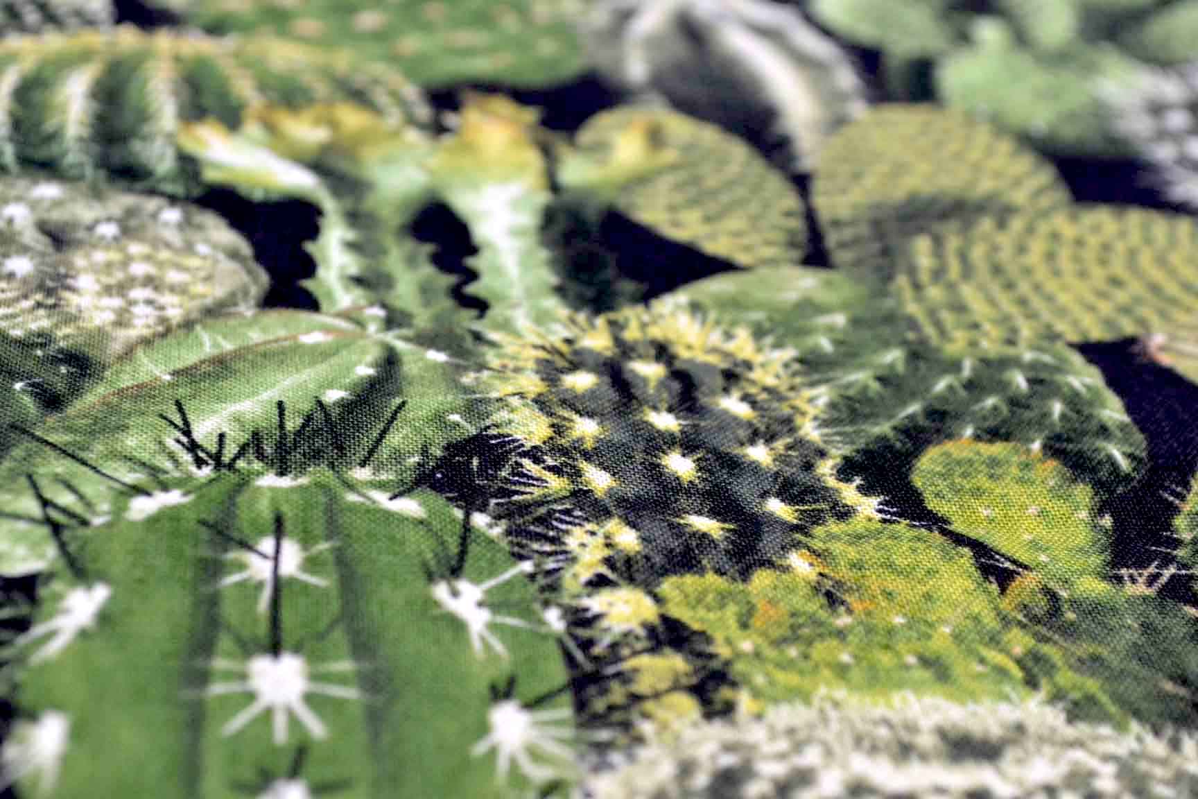 Cacti Green, Timeless Treasures