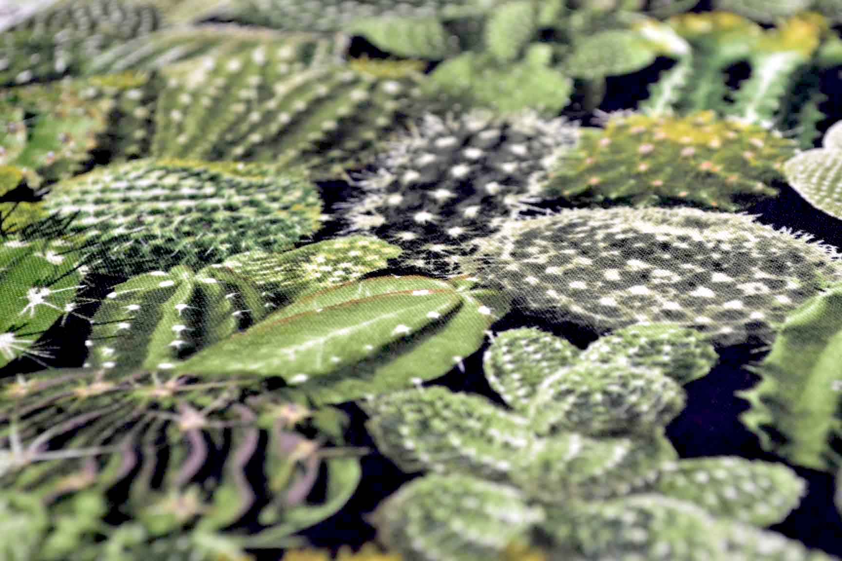 Cacti Green, Timeless Treasures