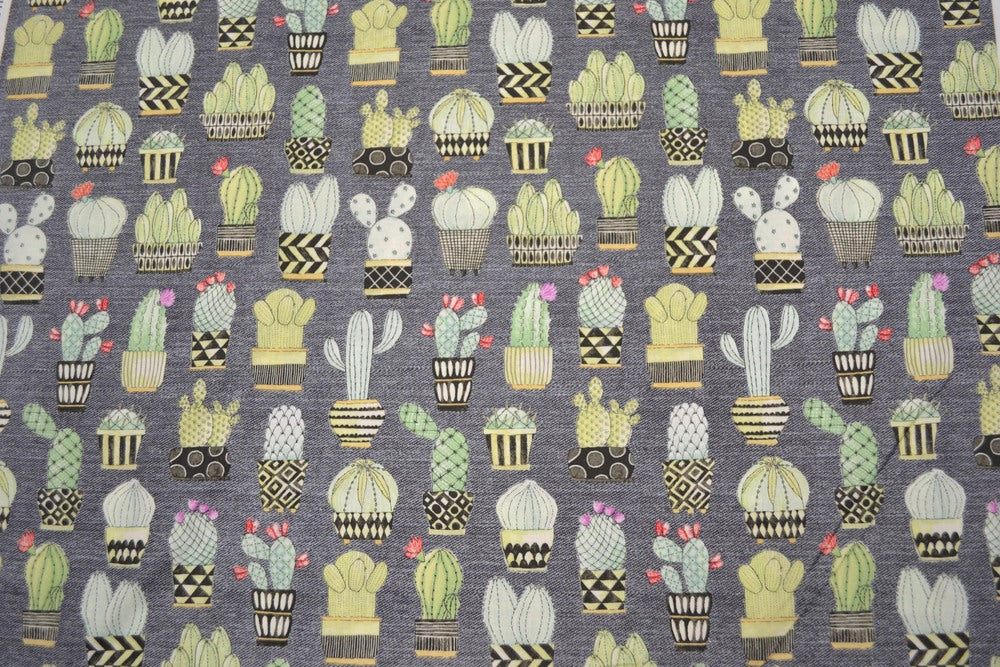 Cactus Hoedown Grey, Michael Miller