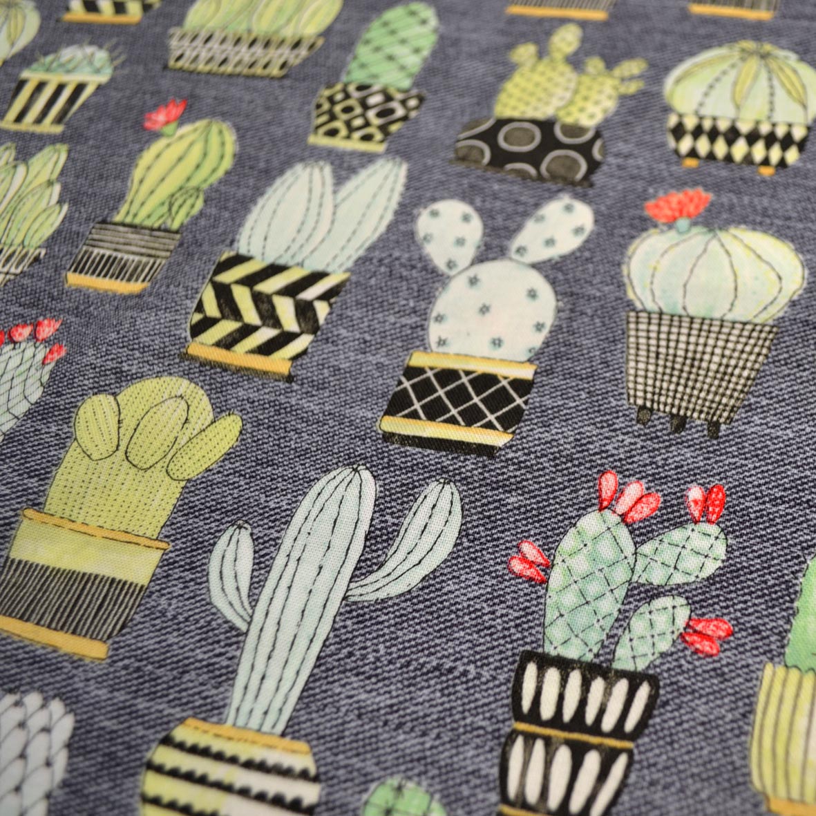 Cactus Hoedown Grey, Michael Miller