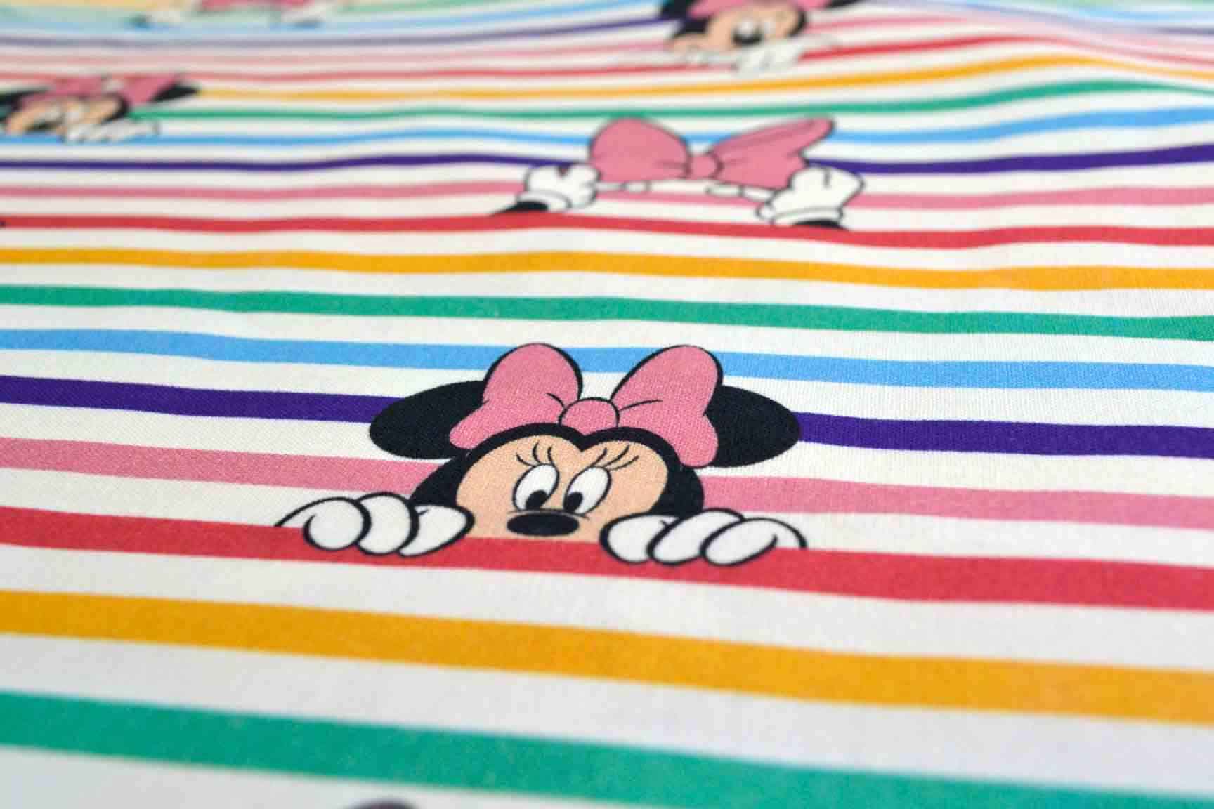 Disney Rainbow Stripe Minnie, Little Johnny