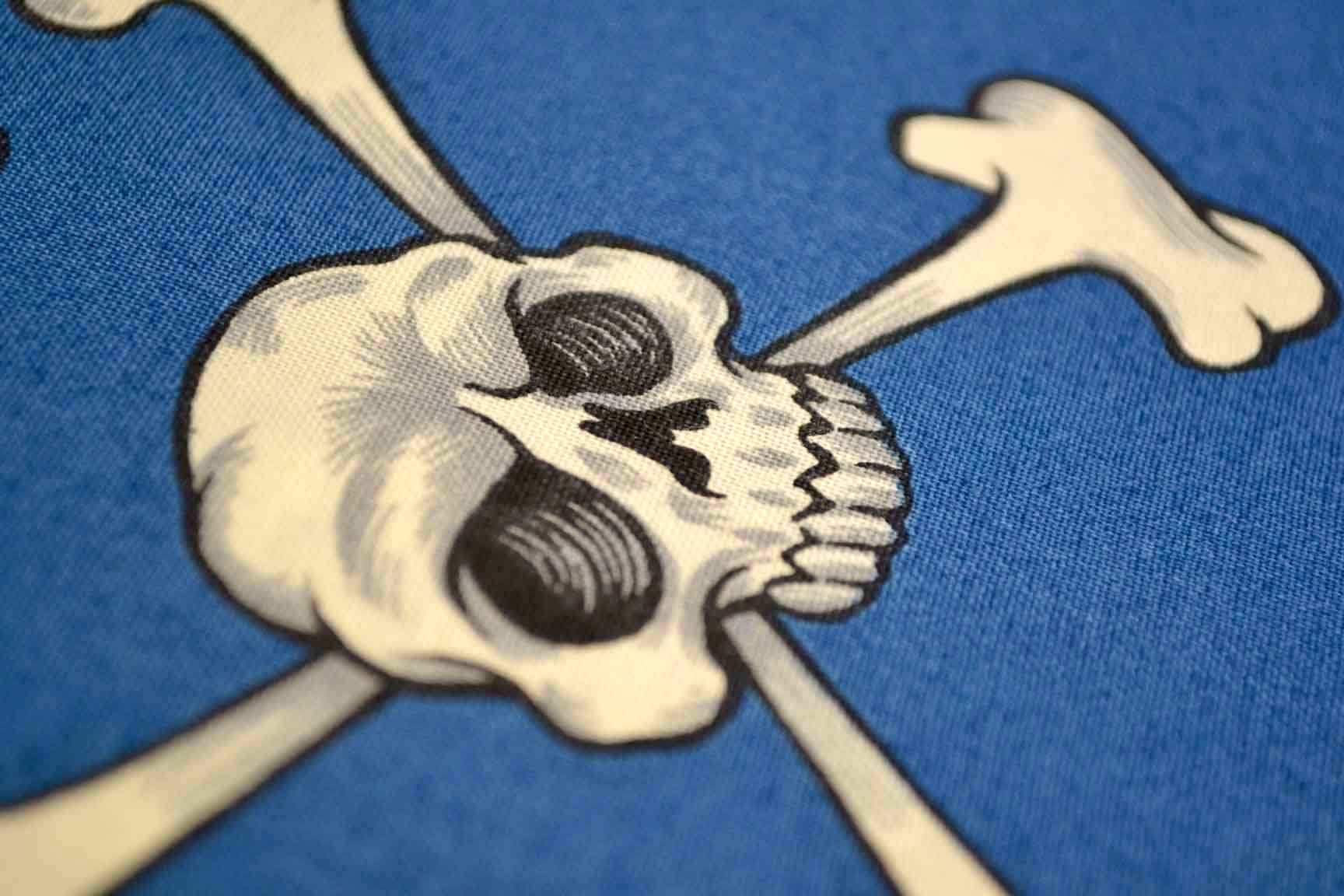 Skull and Bones Dark Blue, Alexander Henry