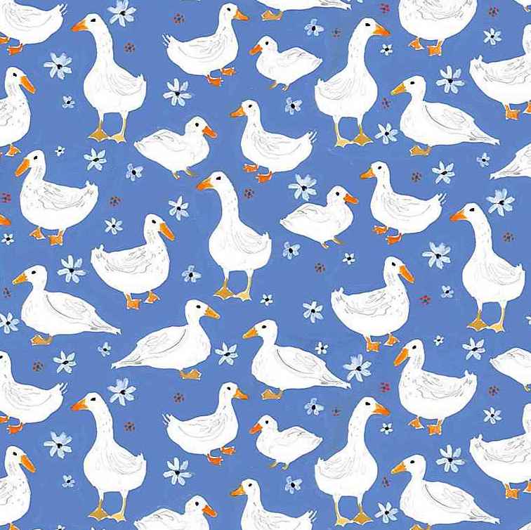 Ducks, Dear Stella