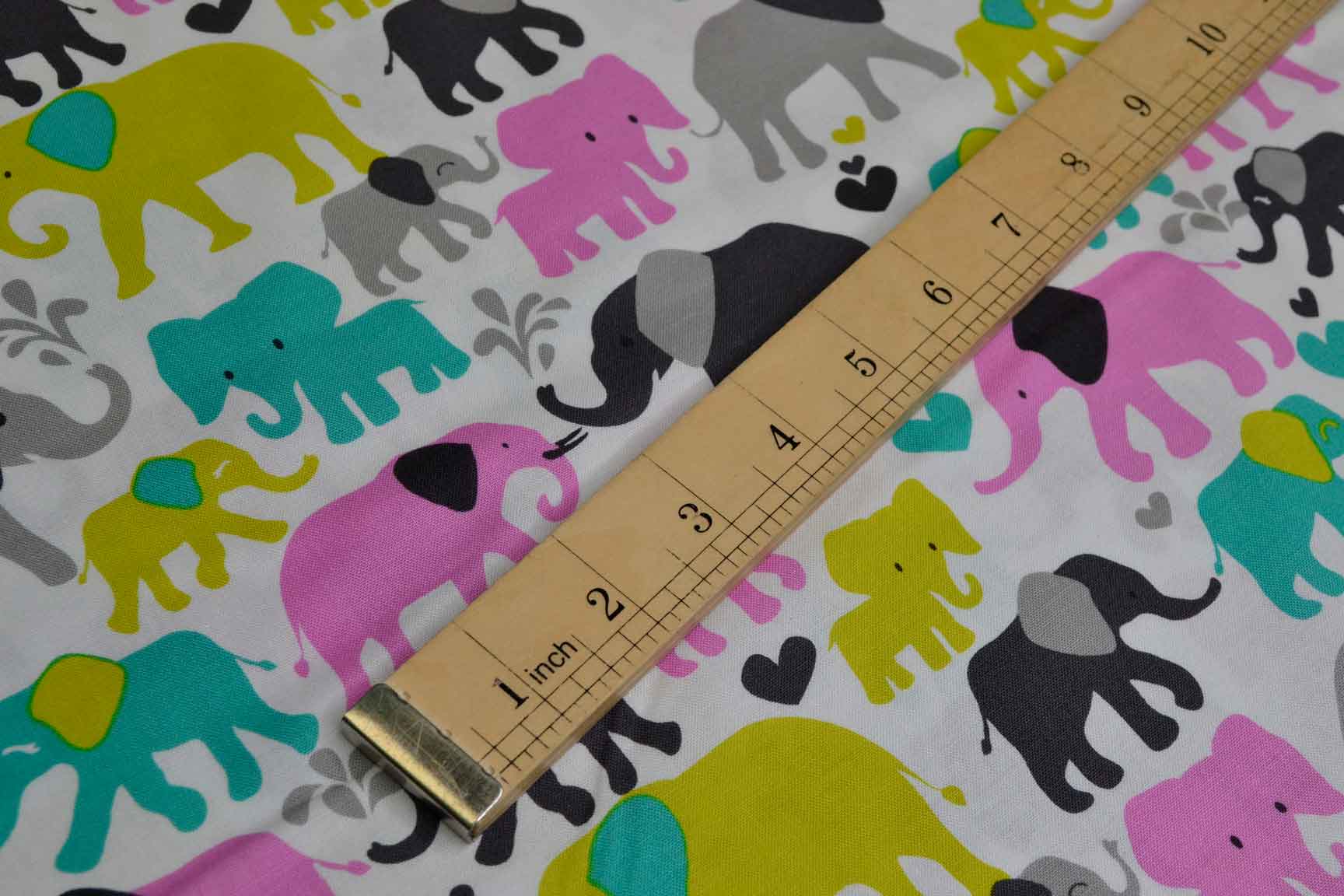 Elephant Walk Orchid, Michael Miller