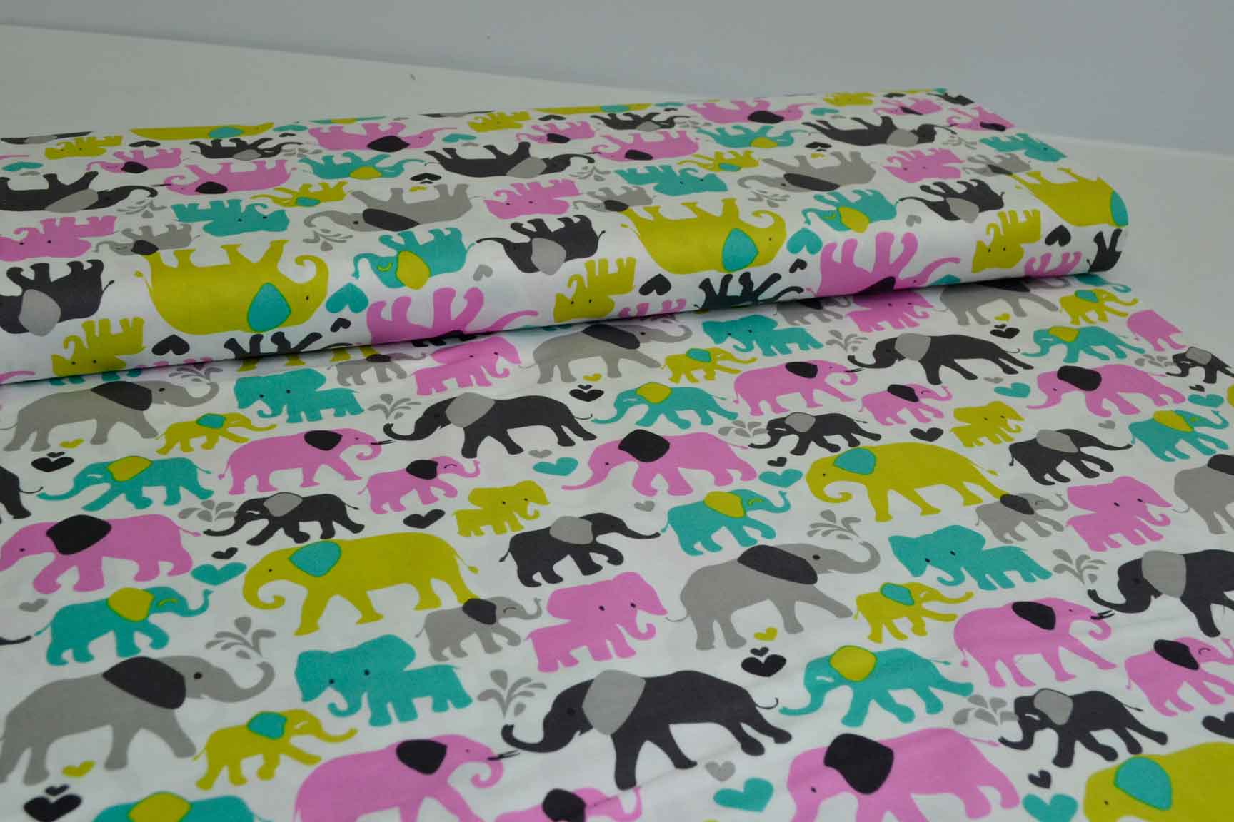 Elephant Walk Orchid, Michael Miller