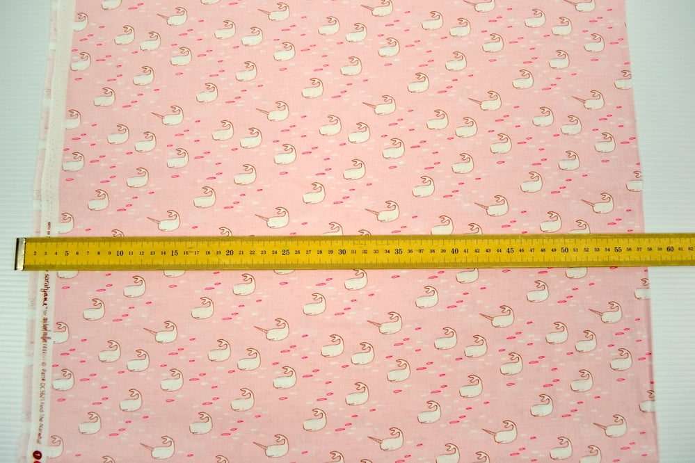 Find the Narwhal Pink, Michael Miller