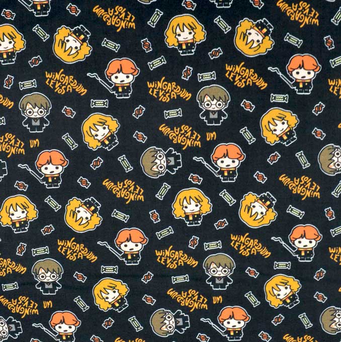 Harry Potter Hogwarts Black, Camelot