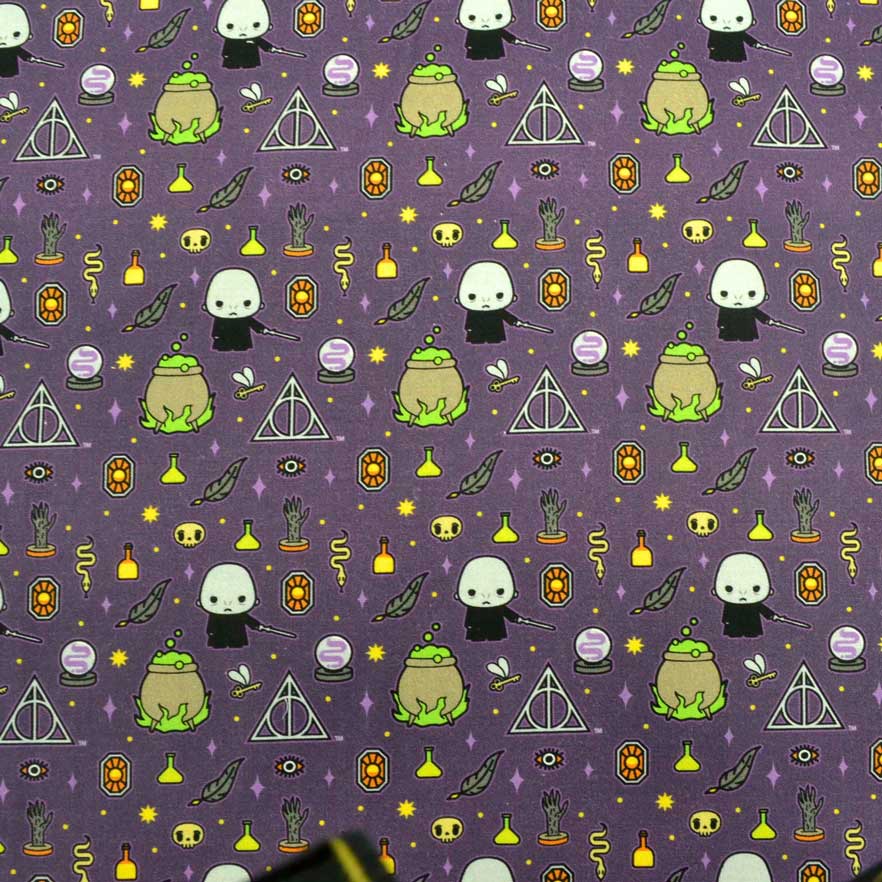 Harry Potter Dark Arts Purple, Camelot