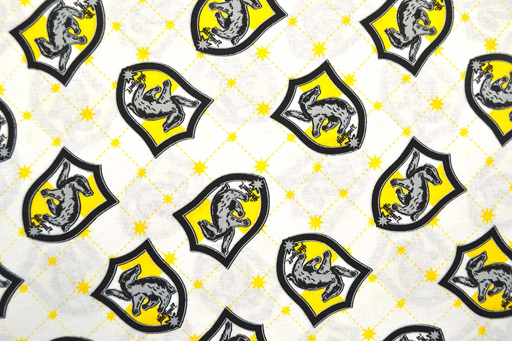 Hufflepuff House Wizarding World, Camelot