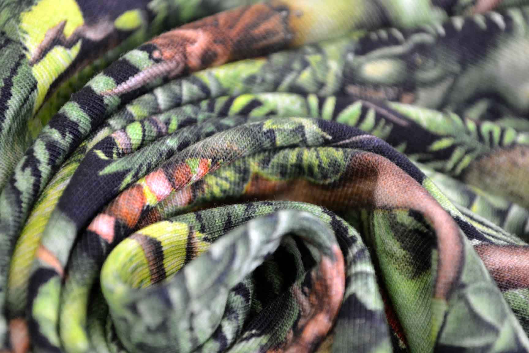 Leafy Dinosaur Jersey, Little Johnny