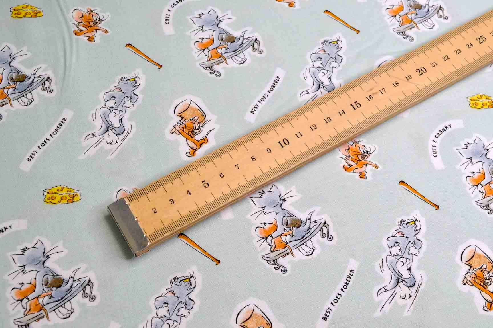 Tom & Jerry Best Foes Forever, Camelot