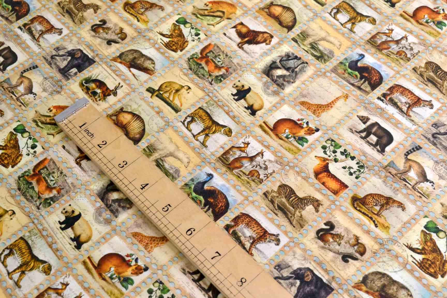 Vintage Animals, Robert Kaufman