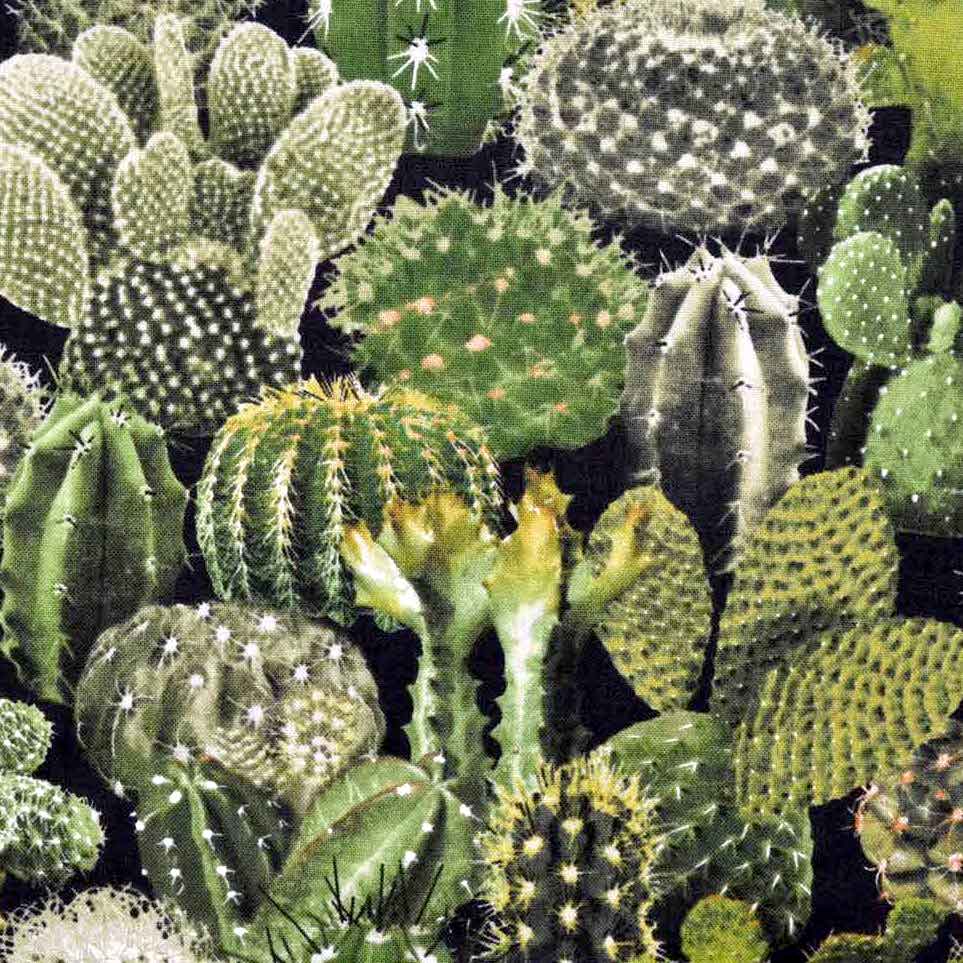 Cacti Green, Timeless Treasures