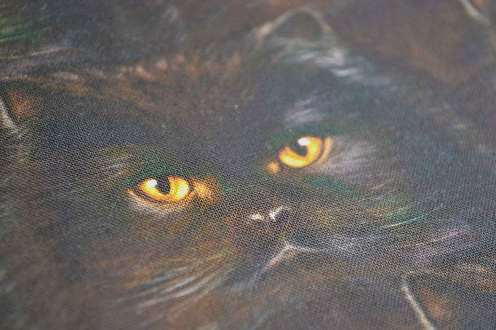 Cats Eyes Black, Robert Kaufman