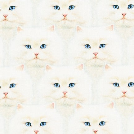 Cats Eyes White, Robert Kaufman