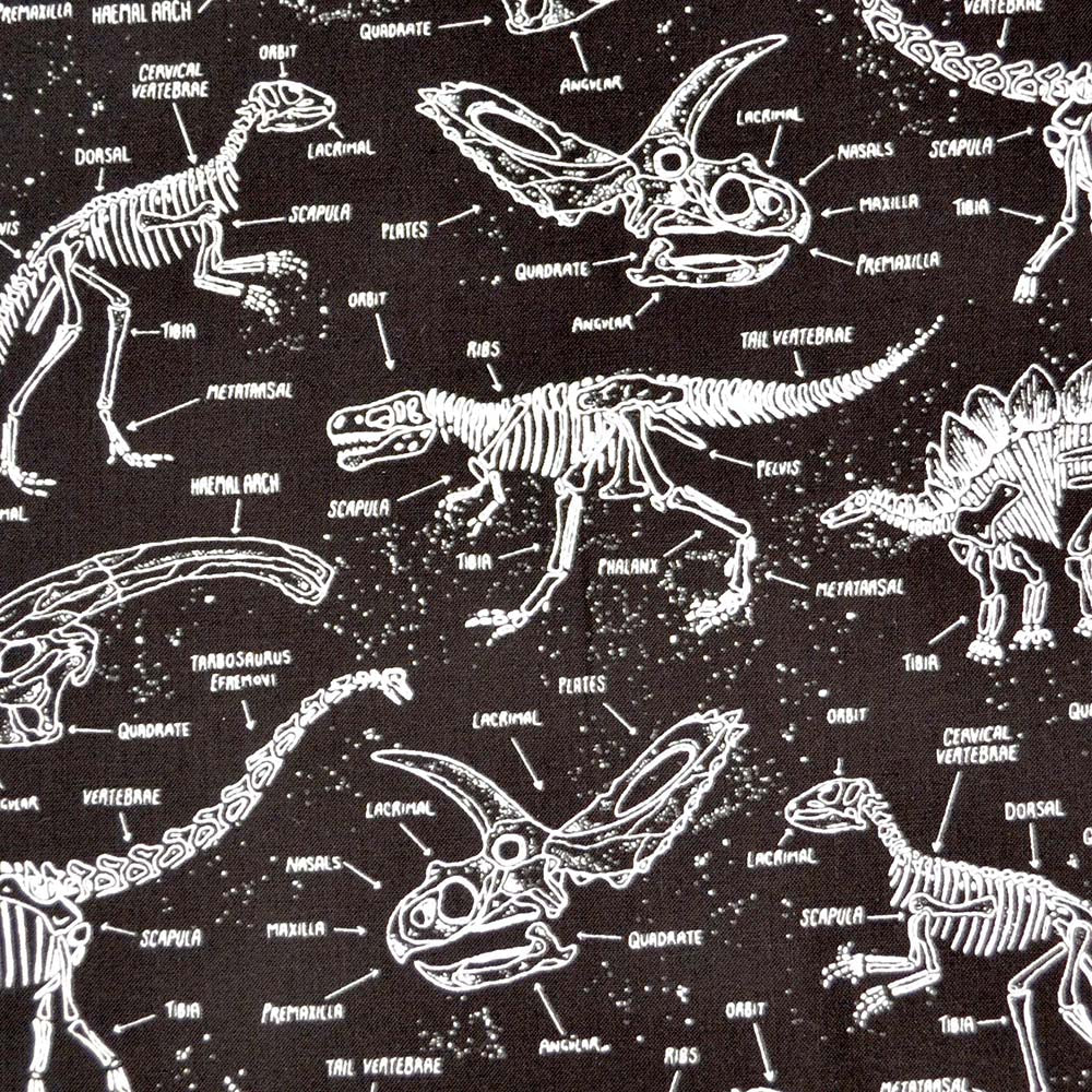 Glow in the Dark Dinosaur Skeletons, Timeless Treasures