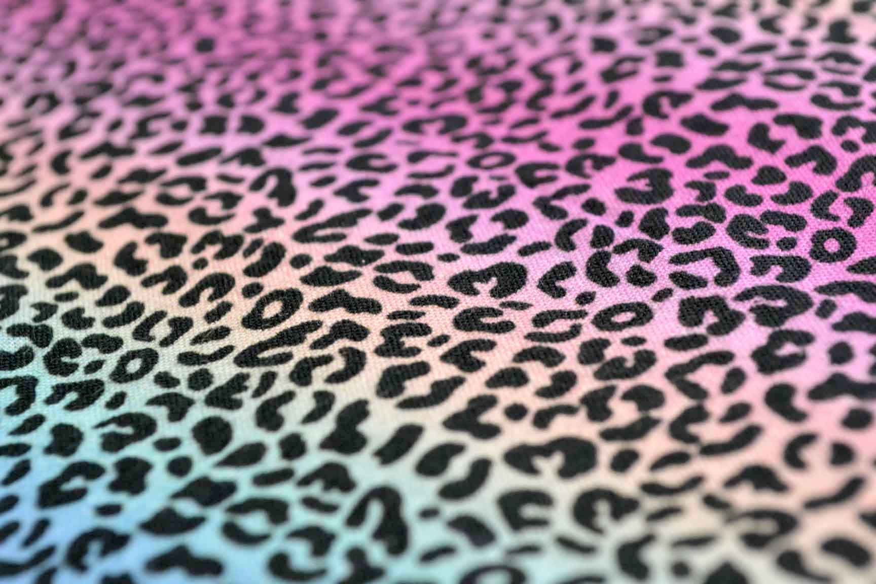 Rainbow Leopard Digital, Little Johnny